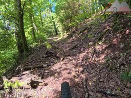 2025-09-10_bad saeckingen_heuberg_01